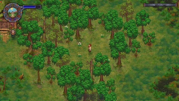 Hiccup grass to roślina, która rośnie w obszarze bagien na zachód od Cmentarza - Hiccup Grass dla kupca (Merchant) w Graveyard Keeper - Graveyard Keeper - poradnik do gry