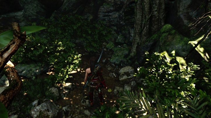 Jacks Journal 4 (6) - trafisz na niego wykonując misje główne - Relikty, dokumenty i skrzynie skarbów w Peruwiańskiej dżungli | Sekrety - Shadow of the Tomb Raider - poradnik do gry