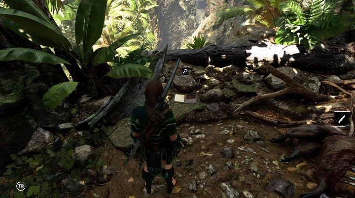 Sisimite (8) - aby zdobyć dokument podążaj śladem krwi z lądowiska Miguela, na końcu drogi, na skale, znajdziesz notatkę - Relikty, dokumenty i skrzynie skarbów w Peruwiańskiej dżungli | Sekrety - Shadow of the Tomb Raider - poradnik do gry