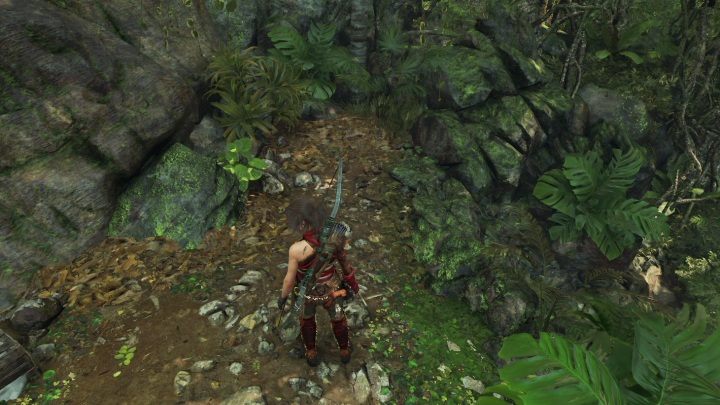 Jacks Journal 3 (9) - aby zdobyć dokument wespnij się na dwie białe ściany, tam użyj instynktu, a zobaczysz drzewo po prawej stronie, na które będziesz mógł się wspiąć - Relikty, dokumenty i skrzynie skarbów w Peruwiańskiej dżungli | Sekrety - Shadow of the Tomb Raider - poradnik do gry