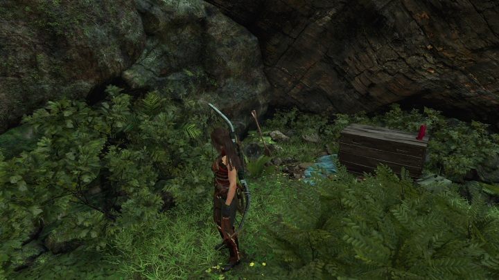 Jacks Journal 5 (10) - leży na widoku w Peruwiańskiej dżungli, - Relikty, dokumenty i skrzynie skarbów w Peruwiańskiej dżungli | Sekrety - Shadow of the Tomb Raider - poradnik do gry