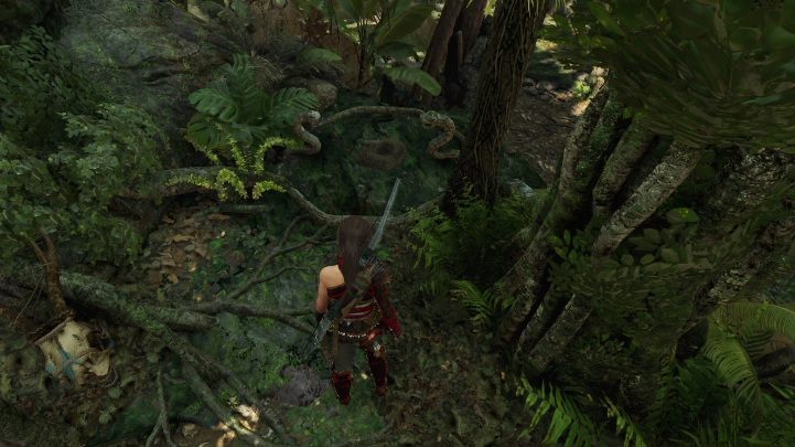 Siódmy i ósmy survivial cache (7 i 8) znajdziesz na jednym terenie - Relikty, dokumenty i skrzynie skarbów w Peruwiańskiej dżungli | Sekrety - Shadow of the Tomb Raider - poradnik do gry