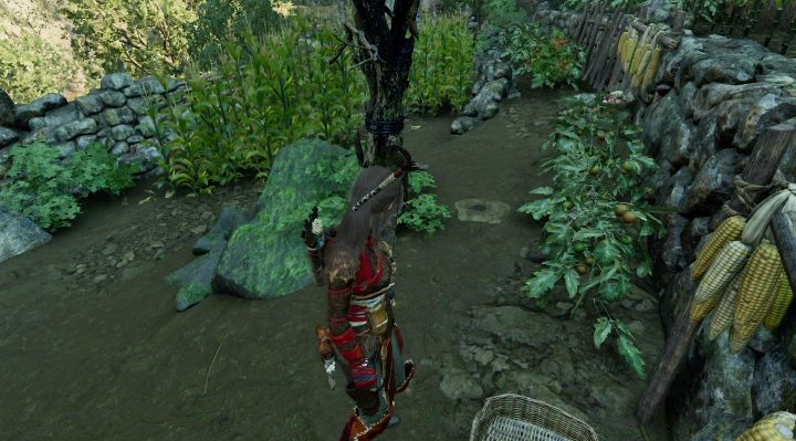 Jedenastą skrytkę (11) znajdziesz w polu kukurydzy - Skrzynie i skrytki surwiwalowe w Ukrytym Mieście | Sekrety w Tomb Raider - Shadow of the Tomb Raider - poradnik do gry