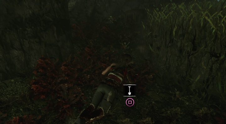 Pod wodą, w Temple of Life znajdziesz 13 skrytkę - Skarby, relikty i dokumenty | Sekrety w Shadow of the Tomb Raider - Shadow of the Tomb Raider - poradnik do gry