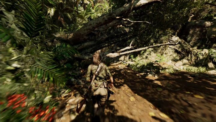 Marco wyśle cie na poszukiwanie swojego syna - Misje poboczne w Kuwak Yaku w Shadow of the Tomb Raider - Shadow of the Tomb Raider - poradnik do gry