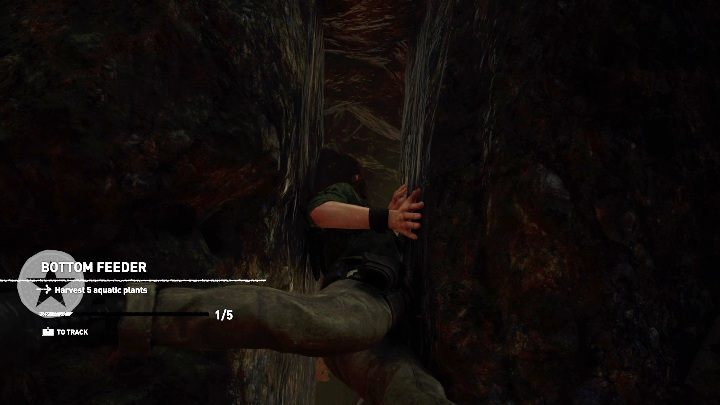 Skarb znajduje się pod wodą, a dokładnie pod posągiem umieszczonym w wodzie - Dialekt Quechua - monolity w Shadow of the Tomb Raider - Shadow of the Tomb Raider - poradnik do gry