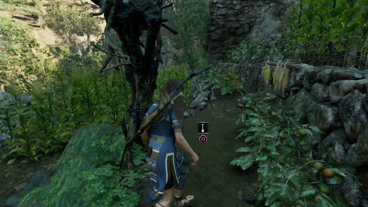 Skarb znajdziesz wśród upraw, zaraz za antycznym strachem na wróble - Dialekt Quechua - monolity w Shadow of the Tomb Raider - Shadow of the Tomb Raider - poradnik do gry