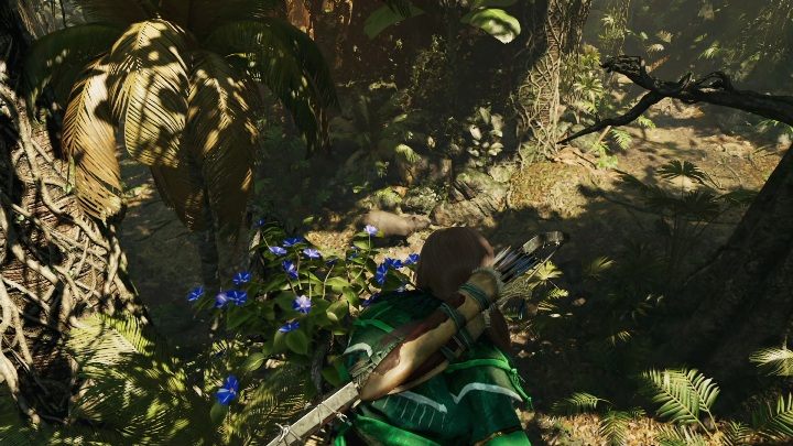 Kwiatki potrzebne do wyzywanie Zbieranie kwiatków rosną wyłącznie na drzewach - Wyzwania w Peruwiańskiej dżungli | Sekrety w Shadow of the Tomb Raider - Shadow of the Tomb Raider - poradnik do gry