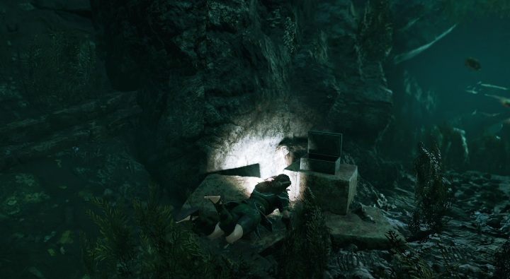 Carved Bowl (3) - ten relikt znajdziesz pod wodą - Skrzynie, relikty i dokumenty w Cozumel | Sekrety w Shadow of the Tomb Raider - Shadow of the Tomb Raider - poradnik do gry