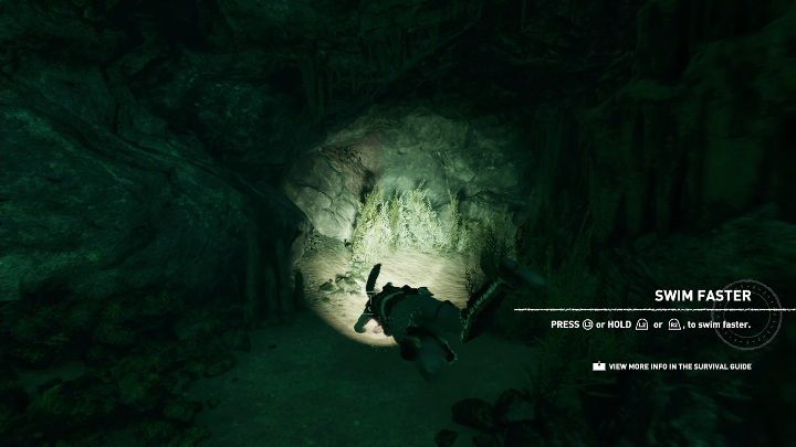 Drugi survival cache (2) znajdziesz pod wodą, gdy przejdziesz kolejny element misji głównej - Dokumenty i relikty w Cenotes | Sekrety w Shadow of the Tomb Raider - Shadow of the Tomb Raider - poradnik do gry
