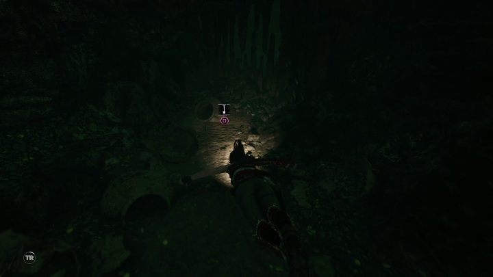 Survival cache (6) - ten obiekt znajduje się pod wodą, nie możesz go ominąć, ponieważ tą drogą biegnie misja główna, - Dokumenty i relikty w Cenotes | Sekrety w Shadow of the Tomb Raider - Shadow of the Tomb Raider - poradnik do gry