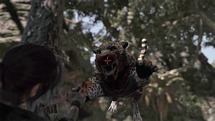 Tuż po podniesieniu barykady rozpocznie się nagle pojedynek z jaguarem, który przeżył poprzednie starcie - Rozwiązanie zagadki z mostem - Solucja Shadow of the Tomb Raider - Shadow of the Tomb Raider - poradnik do gry
