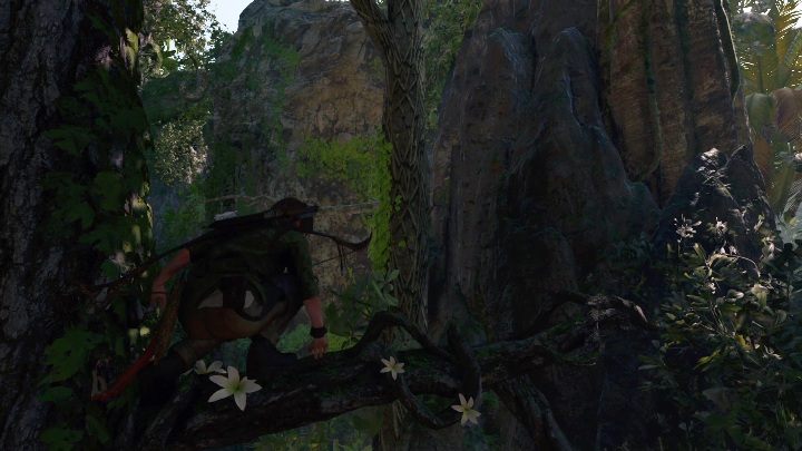 Po wejściu do lokacji trafisz na wielki zbiornik wodny - Grobowce wyzwań w Peruwiańskiej dżungli | Shadow of the Tomb Raider - Shadow of the Tomb Raider - poradnik do gry