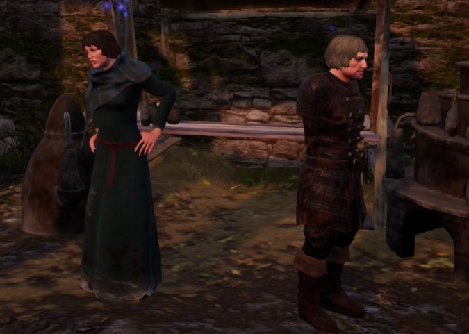 Proszą cię oni o zniszczenie lustra, które znajduje się w Iwon Rheg - W lesie nastały ponure dni - zadania poboczne w Bards Tale IV - The Bards Tale 4 - poradnik do gry