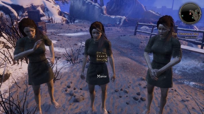 Poproszą cię one o odzyskanie futra, które zabrali złodzieje - Wyruszajmy na wyspy Stennish - zadanie w The Bards Tale 4 - solucja - The Bards Tale 4 - poradnik do gry