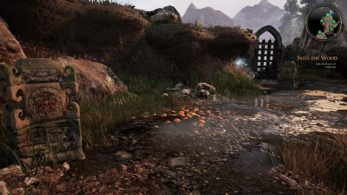 Na obydwóch widnieje czerwony ptak - Zagadki w Bards Tale 4 - Wróżki - The Bards Tale 4 - poradnik do gry