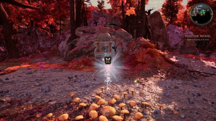 Totem przedstawia ptaka z dziobem ku prawej stronie - Zagadki w Bards Tale 4 - Wróżki - The Bards Tale 4 - poradnik do gry