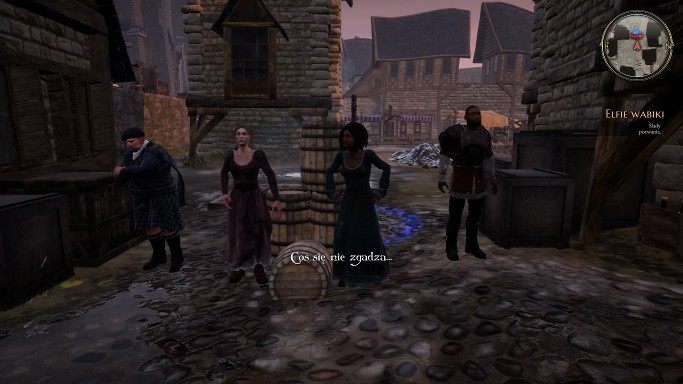 Odegraj nowo poznaną pieśń przed nimi, aby przystąpić do walki - Elfie wabiki - zadanie w The Bards Tale 4 - solucja - The Bards Tale 4 - poradnik do gry