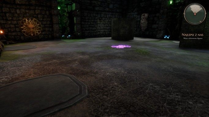 Popchnij kamienie na widoczne platformy - Ukryta ręka i Najlepsi z nas - zadania w The Bards Tale 4 - solucja - The Bards Tale 4 - poradnik do gry