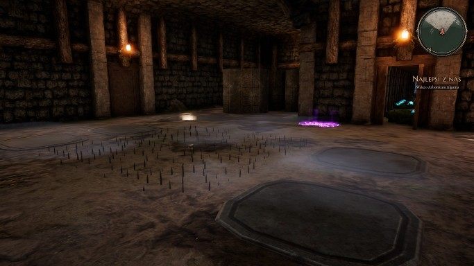 Podejdz do kamieni od tyłu i popchnij kamień znajdujący się najbliżej lewej strony i ustaw go na odpowiednim miejscu - Ukryta ręka i Najlepsi z nas - zadania w The Bards Tale 4 - solucja - The Bards Tale 4 - poradnik do gry