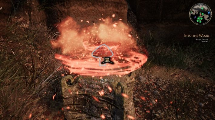 Popchnij wróżkę - Ruszam w mrok... - zadanie w The Bards Tale 4 - solucja - The Bards Tale 4 - poradnik do gry