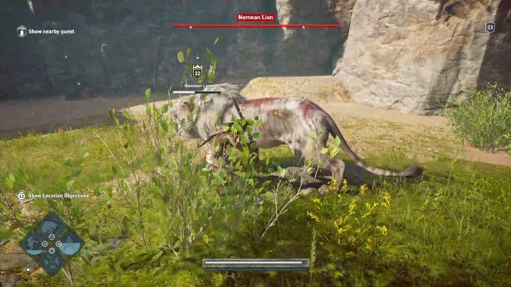 Co pewien czas twój przeciwnik będzie przyzywał 2/3 zwykłe lwy, na tym samym poziomie co on - Lew nemiejski w Argolis - Polowanie na siedem bestii - Assassins Creed Odyssey - poradnik do gry