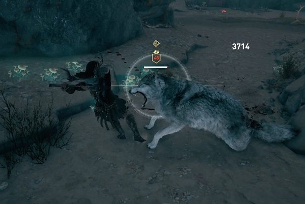 Po zdobyciu śladów musisz udać się do Jaskini Białego Wilka - Zadania poboczne na Lesbos - Assassins Creed Odyssey - poradnik do gry