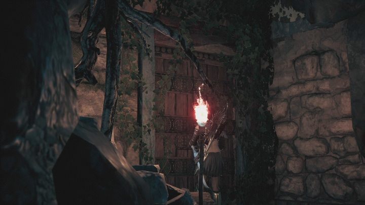 W jaskini musisz odnaleźć duże drzwi, które otworzysz za pomocą klucza - Boska interwencja - Solucja Assassins Creed Odyssey - Assassins Creed Odyssey - poradnik do gry