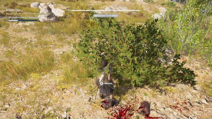 Wraz z Dariusem udaj się na poszukiwanie jego potomka - Nawała obcych | Solucja Assassins Creed Odyssey Dziedzictwo pierwszego ostrza - Assassins Creed Odyssey - poradnik do gry