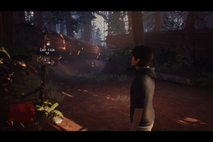 Po dotarciu na miejsce czeka nas mała próba w rzucaniu nożem - Rozdział 2 - Obozowisko w lesie | Solucja Life is Strange 2 Epizod 3 - Life is Strange 2 - poradnik do gry