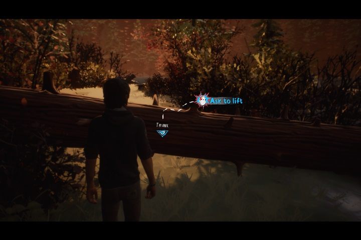 Napotykamy trzy cele: Stones, Pine cones i Mushrooms (biedna Mushroom - Rozdział 3 - Leśne obowiązki | Solucja Life is Strange 2 Epizod 3 - Life is Strange 2 - poradnik do gry