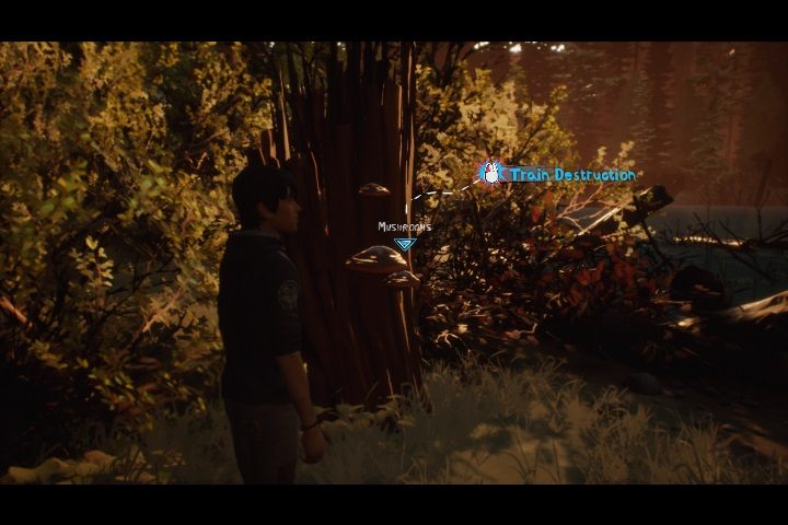 1 - Rozdział 3 - Leśne obowiązki | Solucja Life is Strange 2 Epizod 3 - Life is Strange 2 - poradnik do gry