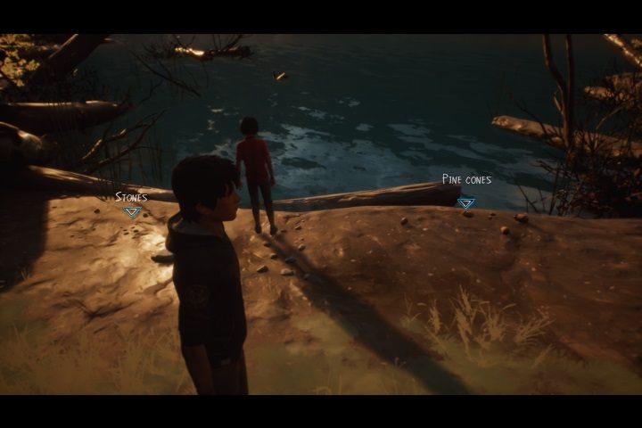 Wykorzystujemy je po kolei - Rozdział 3 - Leśne obowiązki | Solucja Life is Strange 2 Epizod 3 - Life is Strange 2 - poradnik do gry