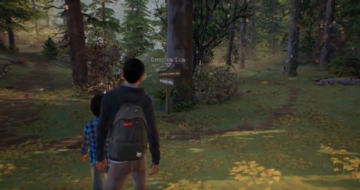 Dalsza trasa prowadzi przez las, poboczne interakcje i dialogi nie mają znaczenia, aż do momentu dotarcia do rozdroża - Rozdział 2 - Park i stacja benzynowa | Solucja Epizodu 1 gry Life is Strange 2 - Life is Strange 2 - poradnik do gry
