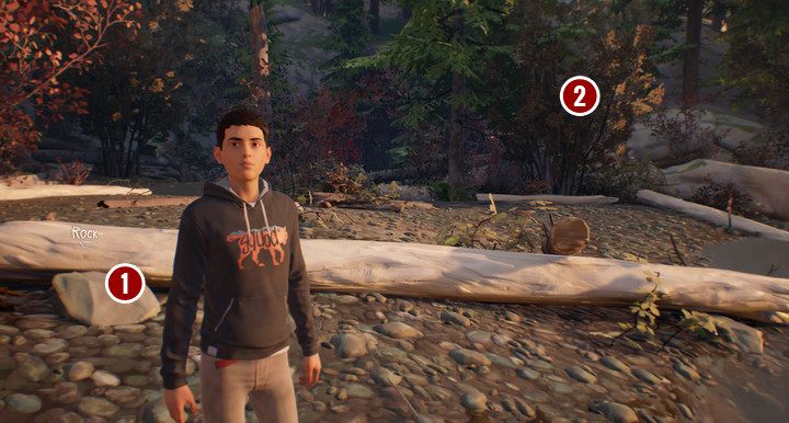 Przygotowanie rozpocznij od zebrania trzech kawałków drewna (logs) - Rozdział 2 - Park i stacja benzynowa | Solucja Epizodu 1 gry Life is Strange 2 - Life is Strange 2 - poradnik do gry