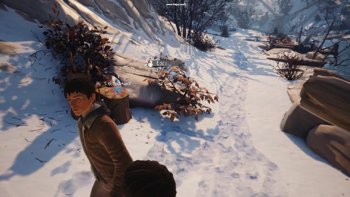 Podniesienie psa jest niemożliwe, można natomiast podnieść puszki i kamień po naszej stronie jeziora - Rozdział 1 - Dom nad rzeką | Solucja Epizodu 2 gry Life is Strange 2 - Life is Strange 2 - poradnik do gry