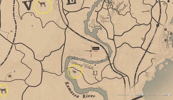 Eksplorując świat w RDR2 odkrywasz ogromną mapę - Red Dead Redemption 2: Dzikie zwierzęta - jak polować? - Red Dead Redemption 2 - poradnik do gry