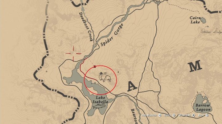 2 - Red Dead Redemption 2: Legendarny Biały Bizon - mapy, porady - Red Dead Redemption 2 - poradnik do gry