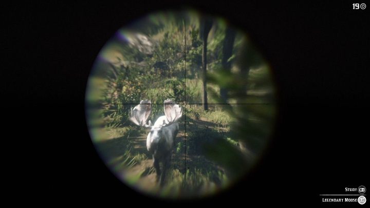 Na łosia musisz udać się z bronią długodystansową - Red Dead Redemption 2: Legendarny Łoś - mapy, porady - Red Dead Redemption 2 - poradnik do gry