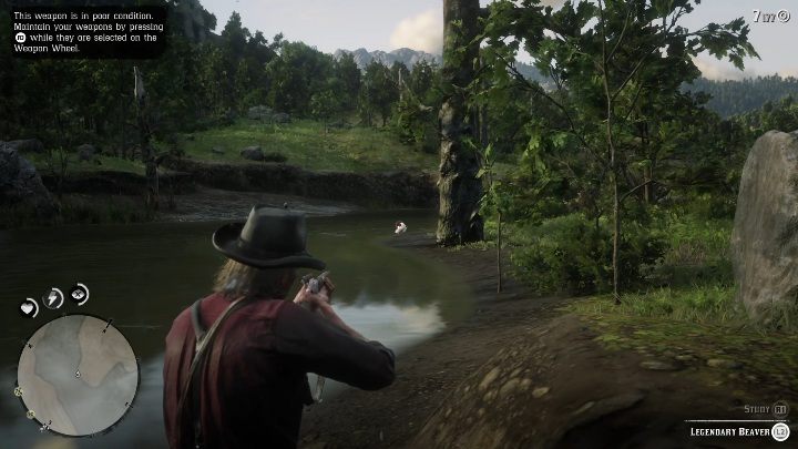 Jeden celny strzał, z obojętnie jakiej broni, położy przeciwnika na łopatki - Red Dead Redemption 2: Legendarny Bóbr - mapy, porady - Red Dead Redemption 2 - poradnik do gry
