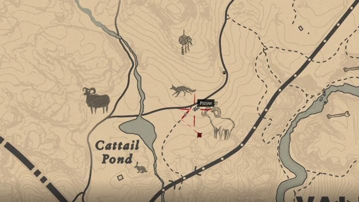Przeciwnik będzie poruszał się po terenie zaznaczonym na screenie poniżej - Red Dead Redemption 2: Legendarna Owca - mapy, porady - Red Dead Redemption 2 - poradnik do gry