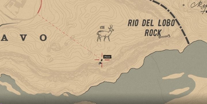 To miejsce znajduje się na zachód od Rio Bravo - Red Dead Redemption 2: Legendarny Widłoróg amerykański - mapy, porady - Red Dead Redemption 2 - poradnik do gry