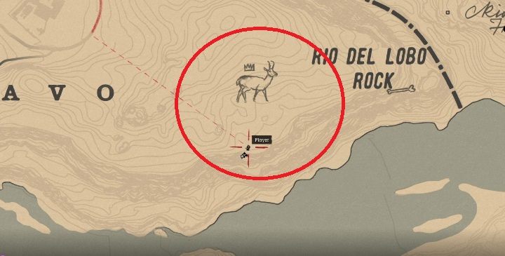 Widłoróg będzie poruszał się po terenie zaznaczonym na screenie powyżej - Red Dead Redemption 2: Legendarny Widłoróg amerykański - mapy, porady - Red Dead Redemption 2 - poradnik do gry