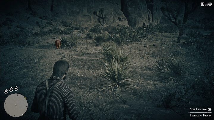 2 - Red Dead Redemption 2: Legendarna puma - mapy, porady - Red Dead Redemption 2 - poradnik do gry