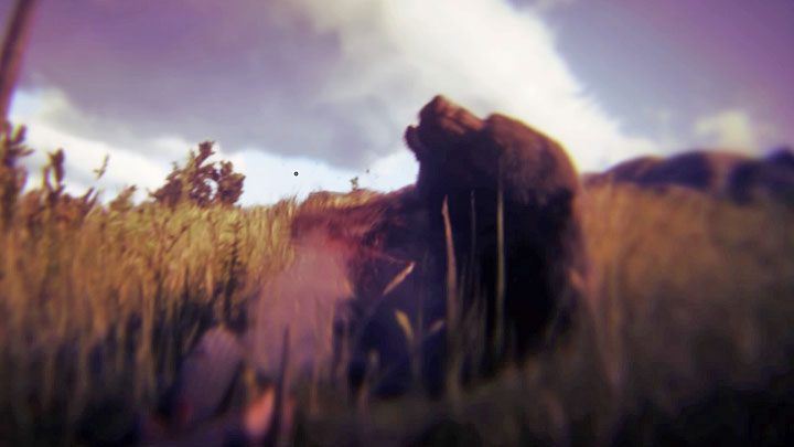 Rodzaj trofeum: brązowe - Red Dead Redemption 2: Trofea/Osiągnięcia - lista - Red Dead Redemption 2 - poradnik do gry