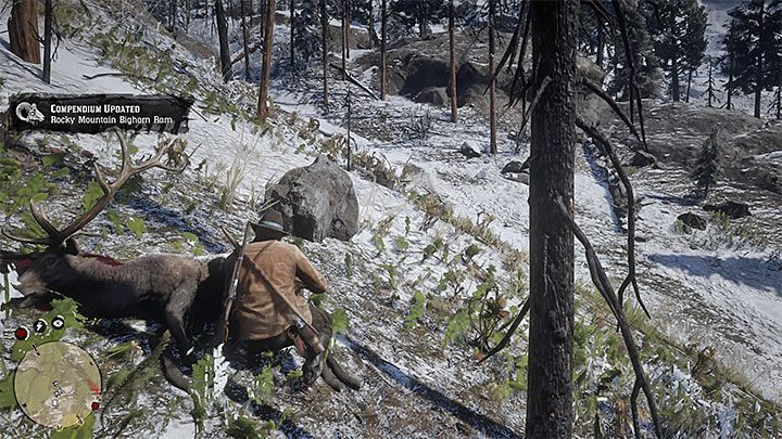 Rodzaj trofeum: brązowe - Red Dead Redemption 2: Trofea/Osiągnięcia - lista - Red Dead Redemption 2 - poradnik do gry