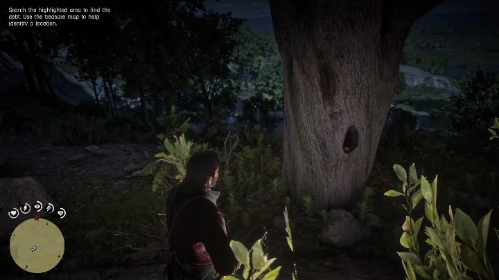 Wystarczy, że dotrzesz w tamtą okolice, a zobaczysz wielkie drzewo, a w nim dziuple - Red Dead Redemption 2: Chick - mapa skarbów - Red Dead Redemption 2 - poradnik do gry