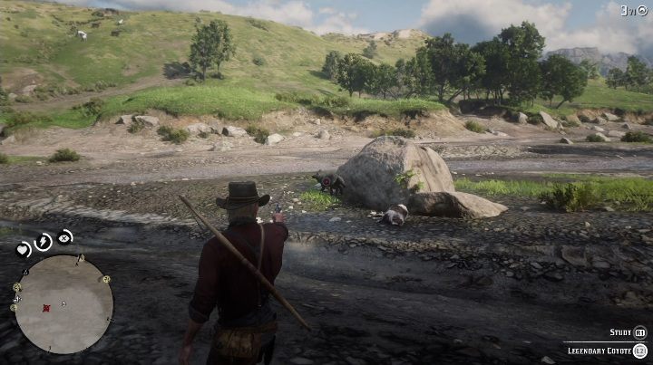 Kojot nie zaatakuje cię, ale będzie przed tobą uciekać - Red Dead Redemption 2: Legendarny Kojot - mapy, porady - Red Dead Redemption 2 - poradnik do gry
