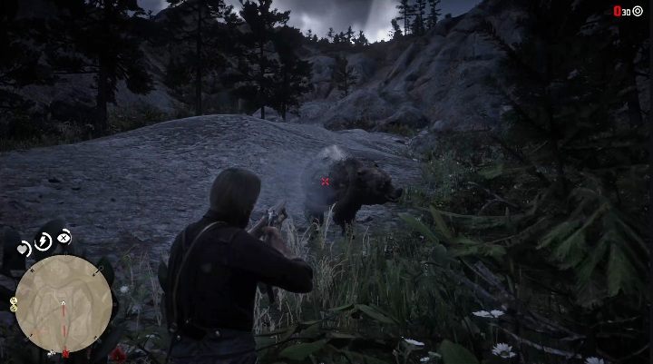 Na niedźwiedzia warto wybrać się z ciężką bronią - Red Dead Redemption 2: Legendarny Niedźwiedź - mapy, porady - Red Dead Redemption 2 - poradnik do gry