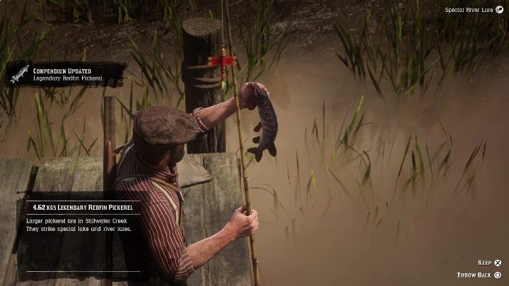 Legendarny Szczupak Amerykański to mała ryba - Red Dead Redemption 2: Legendarny Szczupak Amerykański - mapy, porady - Red Dead Redemption 2 - poradnik do gry